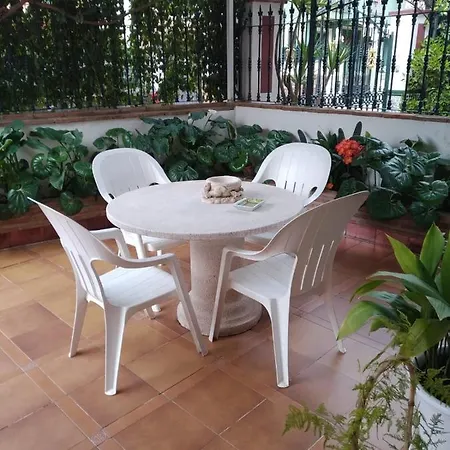 Holiday home - Boliches - *